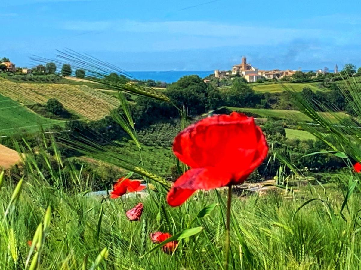 Chiaraluce Massignano